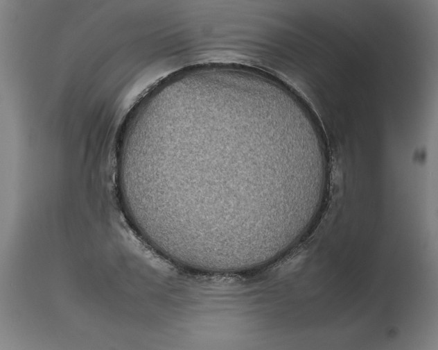 X0000112510979200909071304