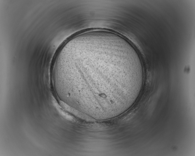 X0000112510980200909071304