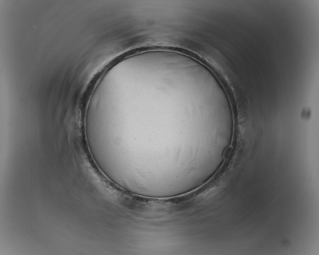 X0000112510981200909071304