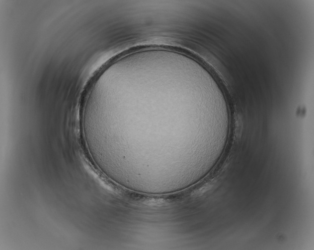 X0000112510982200909071304