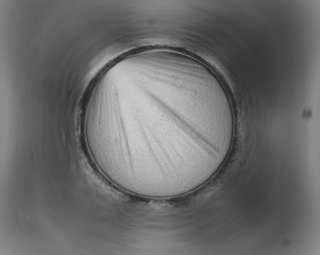 X0000112510983200909071304