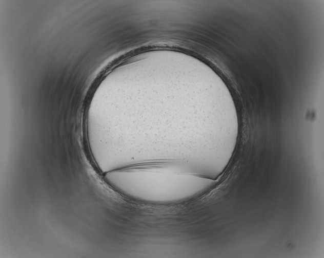 X0000112510984200909071304