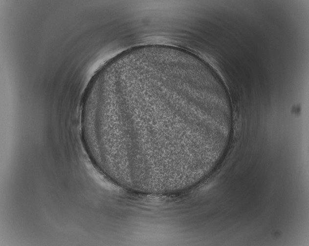 X0000112510987200909071304