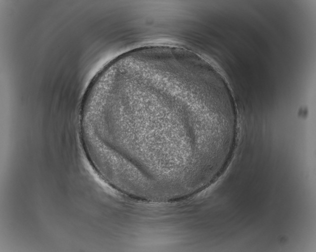 X0000112510989200909071304