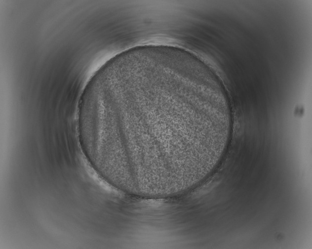 X0000112510990200909071304