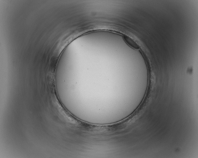 X0000112510993200909071304