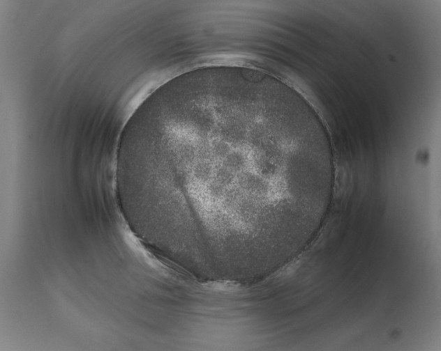 X0000112510994200909071304