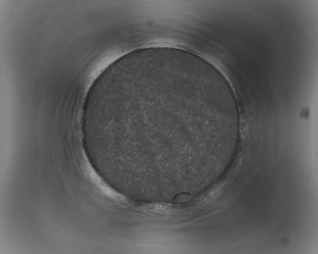 X0000112510995200909071304