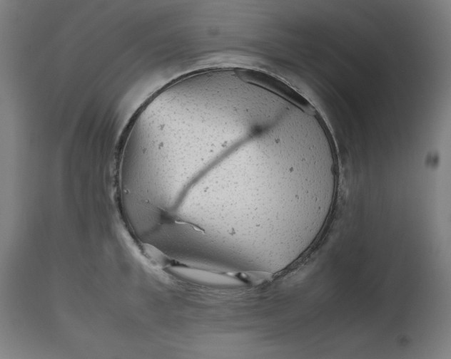 X0000112510997200909071304