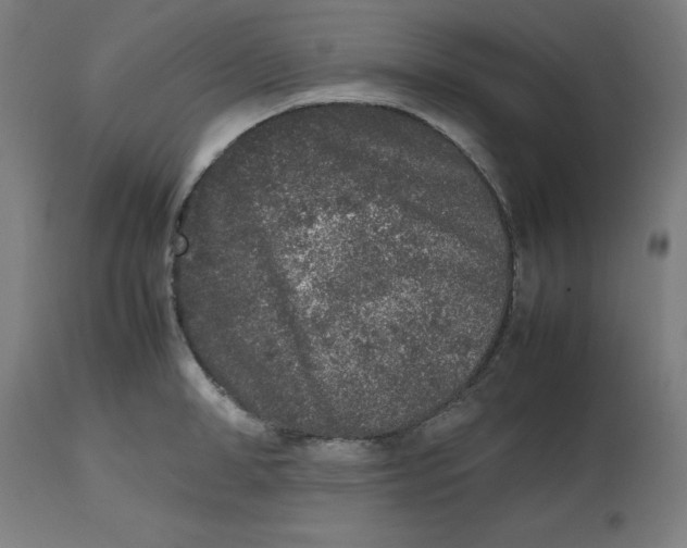 X0000112510998200909071304