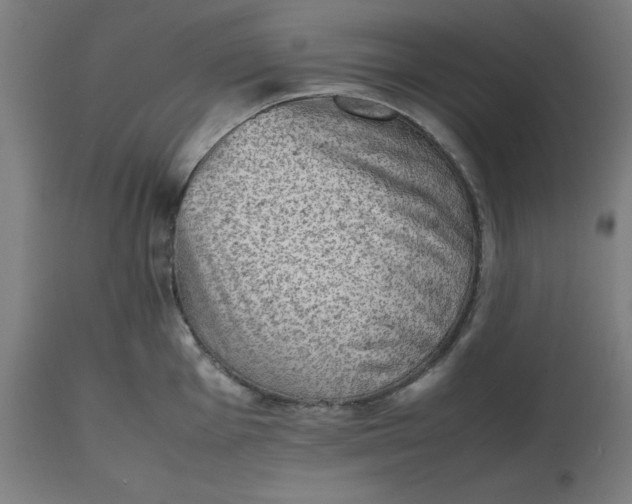 X0000112511001200909071304