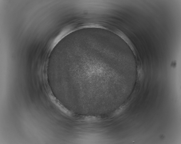 X0000112511002200909071304