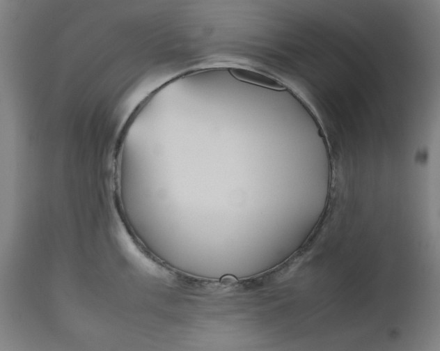 X0000112511003200909071304