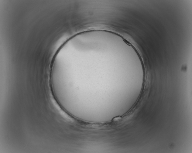 X0000112511005200909071304