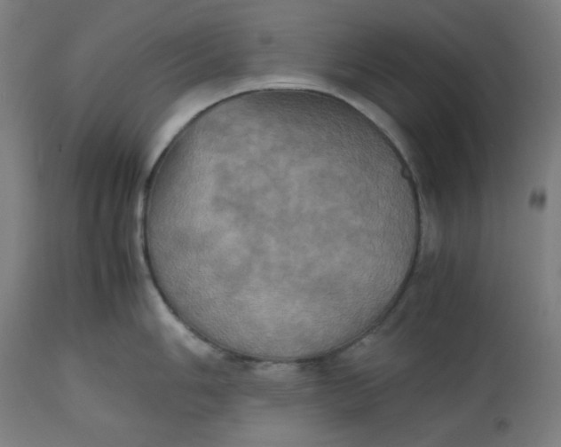 X0000112511006200909071304