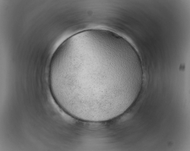 X0000112511007200909071304