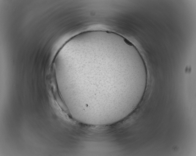 X0000112511008200909071304