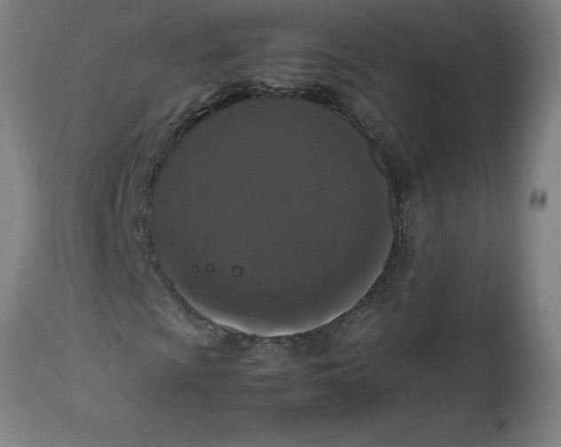 X0000112511009200909071303