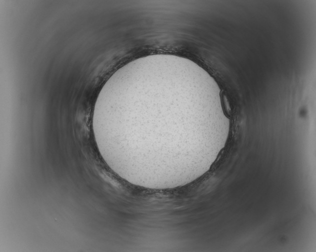 X0000112511010200909071303