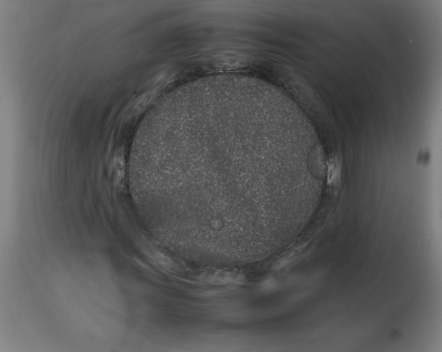 X0000112511011200909071303