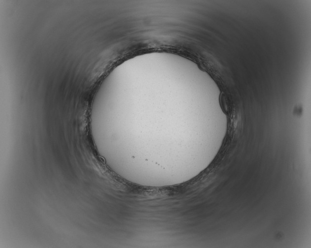 X0000112511012200909071303