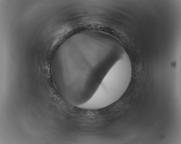 X0000112511013200909071303