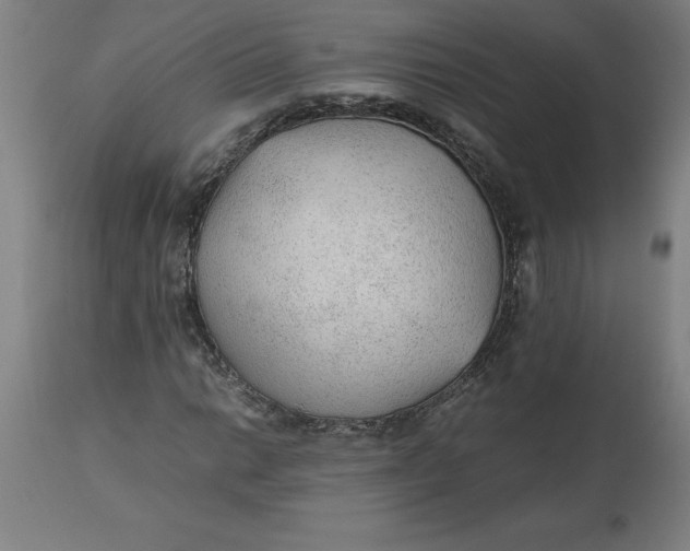 X0000112511014200909071303