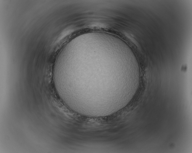 X0000112511015200909071303