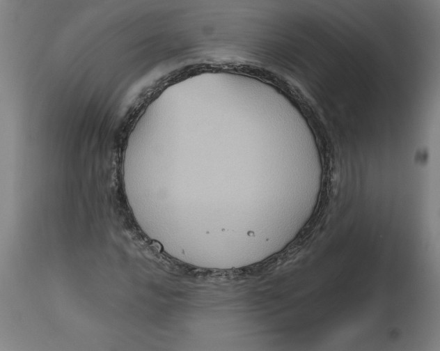 X0000112511016200909071303