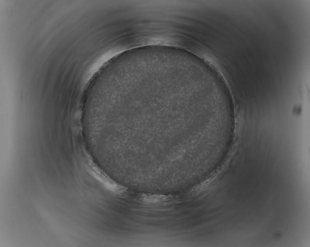 X0000112511019200909071303