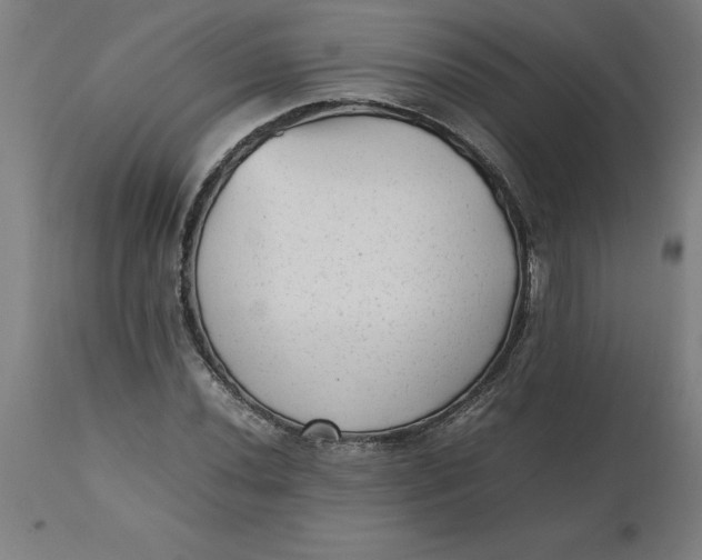 X0000112511020200909071303