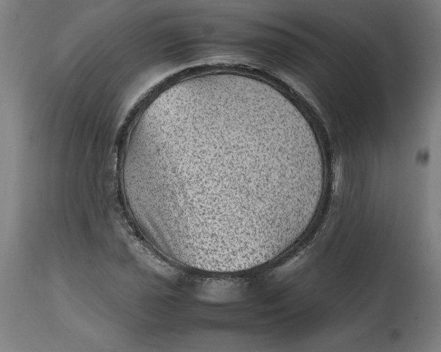 X0000112511021200909071303