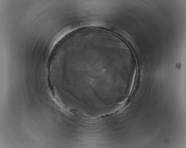 X0000112511024200909071303