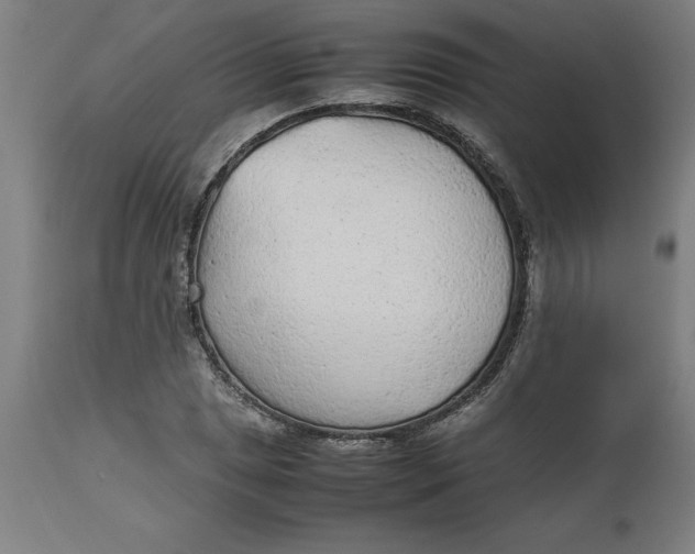 X0000112511025200909071303