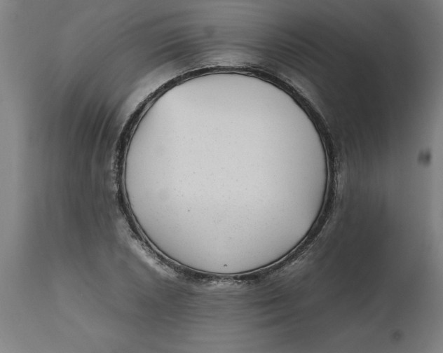 X0000112511026200909071303