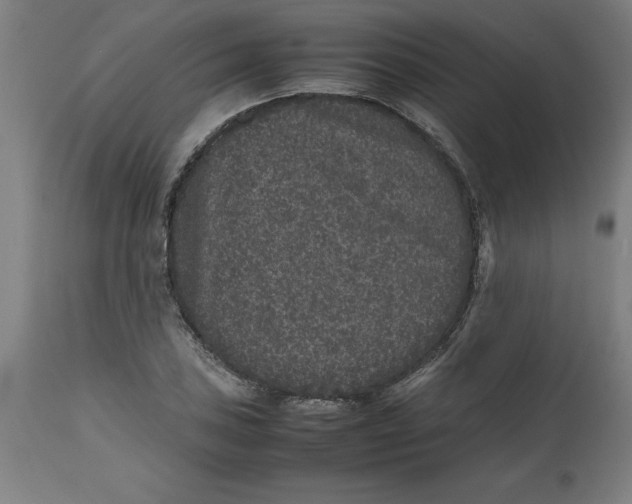 X0000112511027200909071303