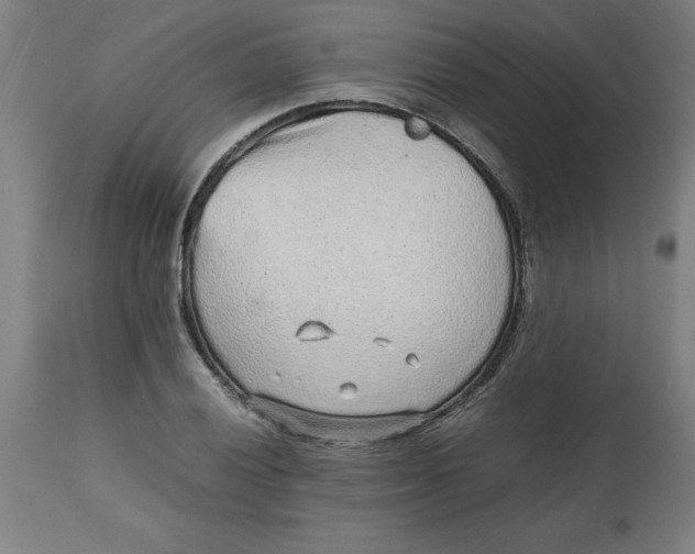 X0000112511028200909071303