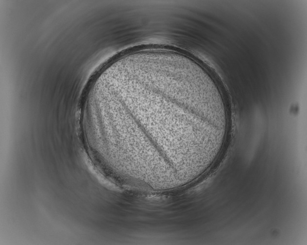 X0000112511029200909071303