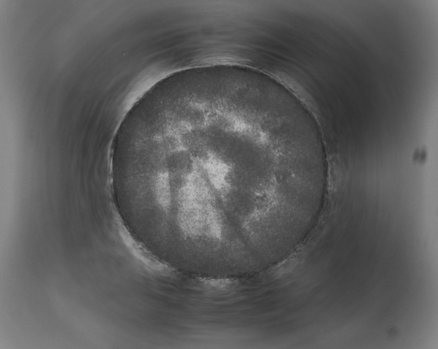 X0000112511031200909071303