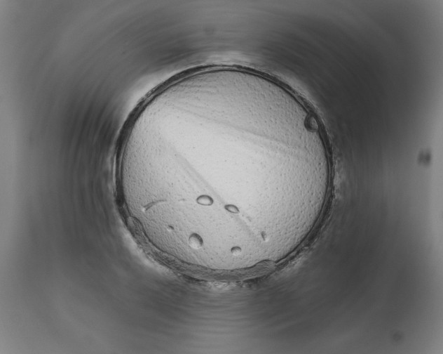 X0000112511032200909071303