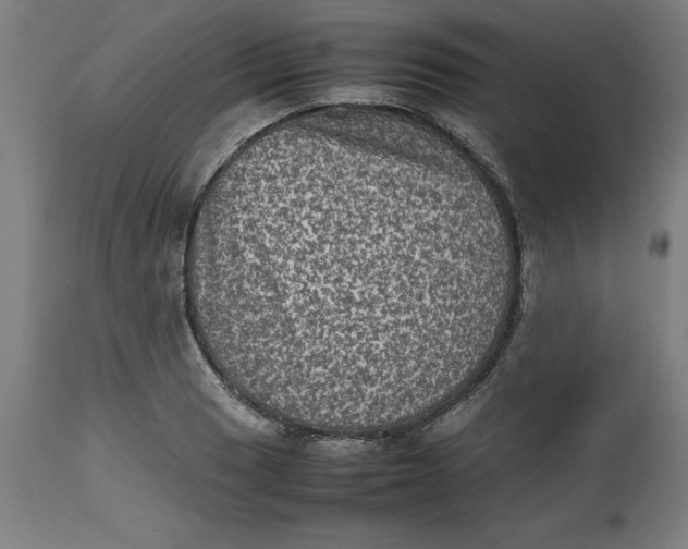 X0000112511033200909071303