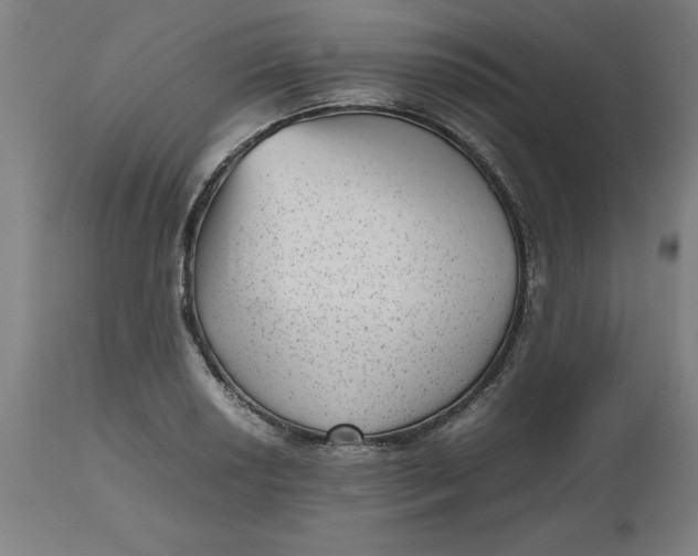 X0000112511034200909071303