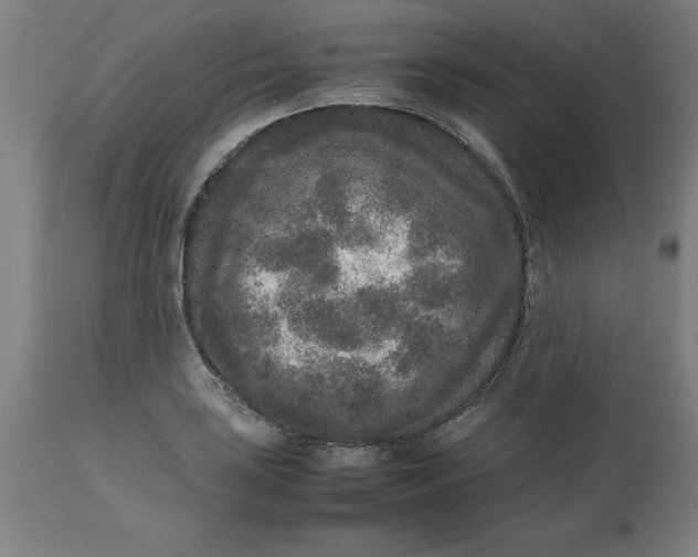 X0000112511035200909071303