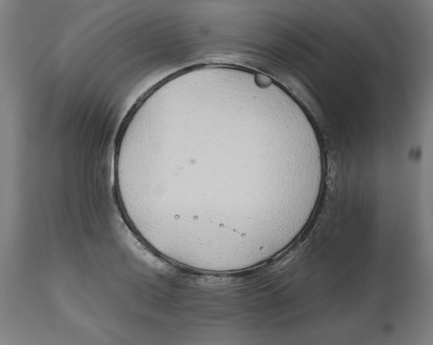 X0000112511036200909071303