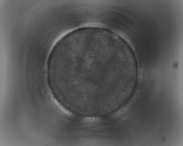 X0000112511037200909071304