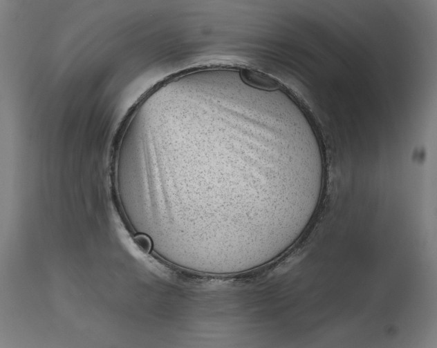 X0000112511038200909071304