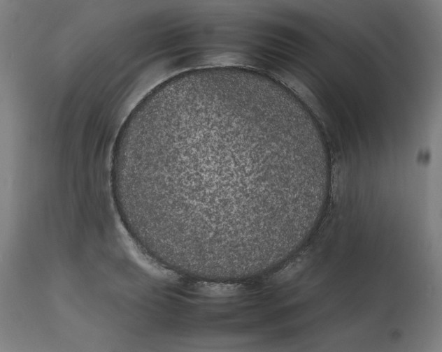 X0000112511039200909071304