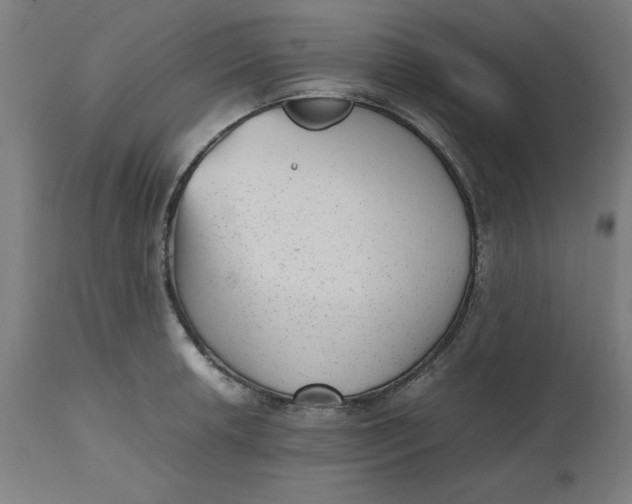 X0000112511042200909071304