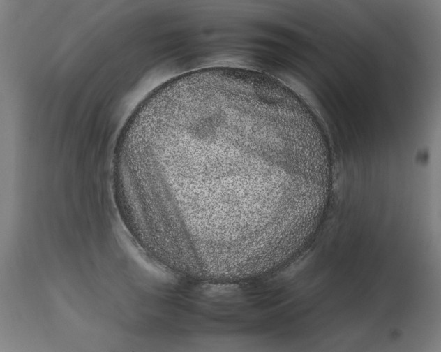 X0000112511043200909071304