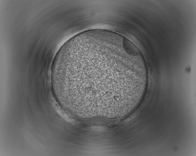 X0000112511044200909071304